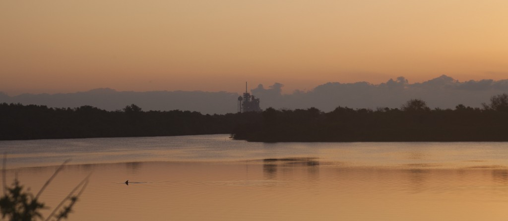 A porpoise plays in the water of the turning basin as we all wait for the launch (note the launch pad in the background).