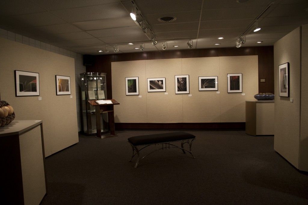 Part of the gallery for my exhibition, "Ethereal Plumage"