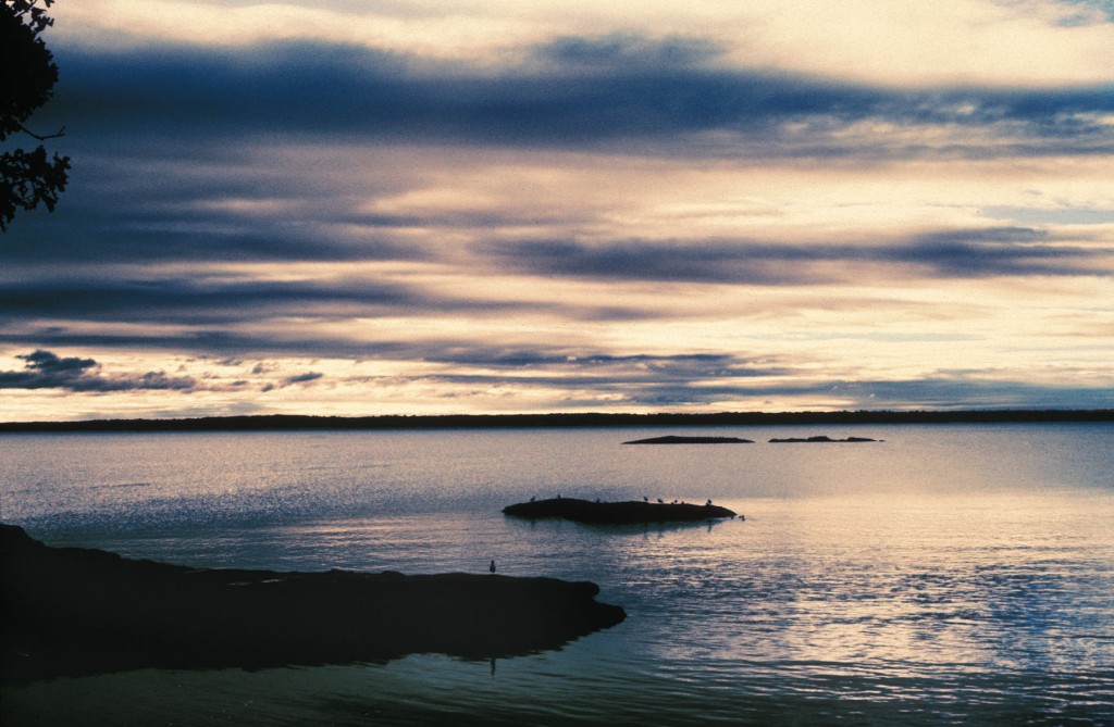 The sunrise at Mamaroneck, New York. A color infrared image.
